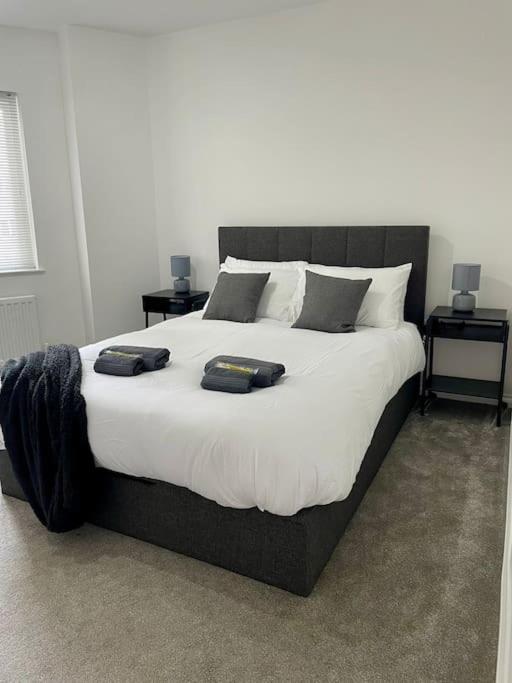 Elegant Belfast City Centre Apt Walk Everywhere Eksteriør bilde